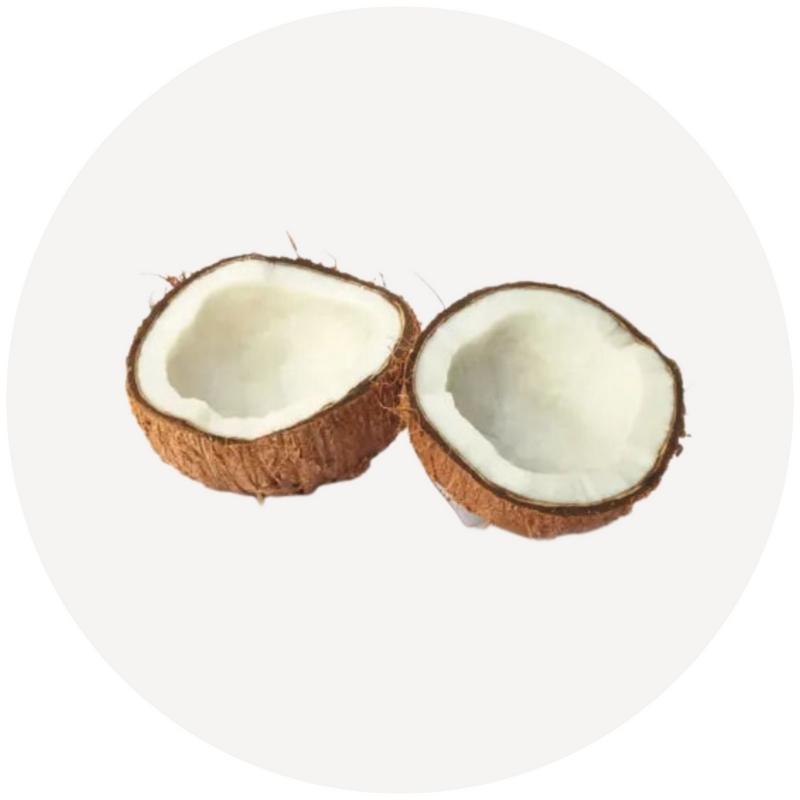 Coconut Oil